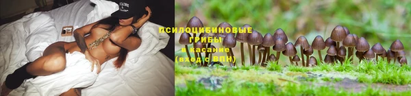 первитин Белокуриха